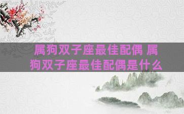 属狗双子座最佳配偶 属狗双子座最佳配偶是什么 属狗双子座最佳配偶 属狗双子座最佳配偶是什么
